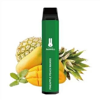 Ατμιστής μίας χρήσης USB Recharing 3000 Puffs